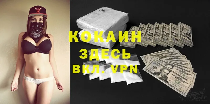 хочу наркоту  Горняк  ОМГ ОМГ как зайти  Cocaine Перу 